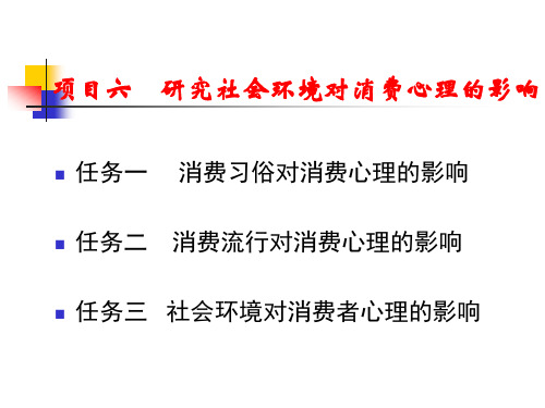 项目六  研究社会环境对消费心理的影响  《消费心理》PPT课件