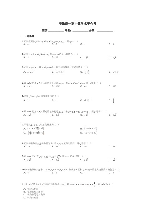 安徽高一高中数学水平会考带答案解析
