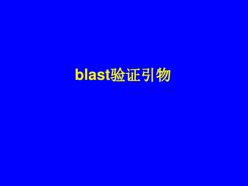 blast验证引物分析