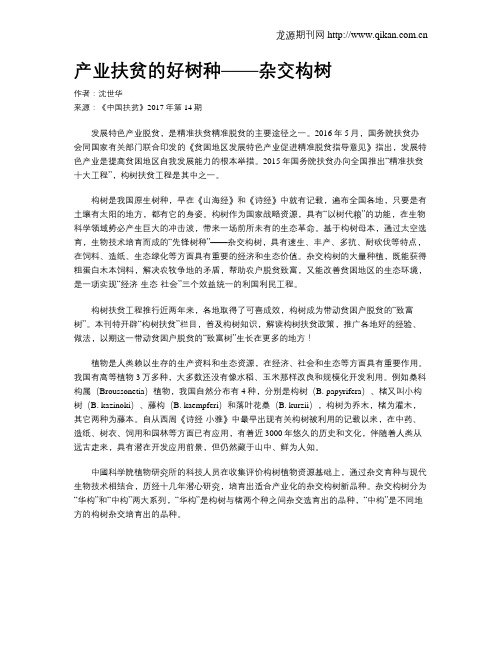 产业扶贫的好树种——杂交构树