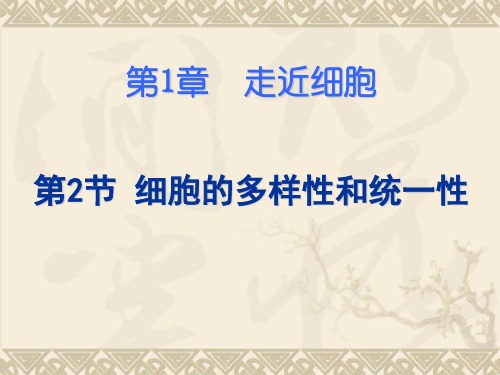 人教版高中生物必修一1.2细胞的多样性和统一性 课件 (共33张PPT)