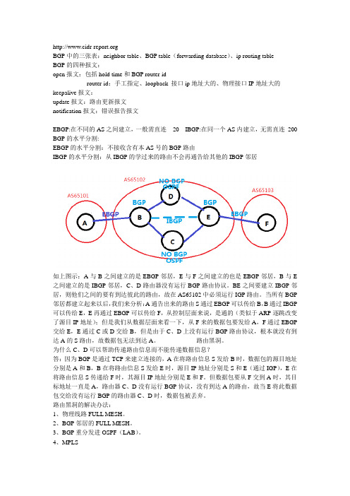 bgp个人总结