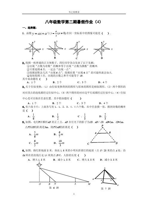 北师大八年级下暑假衔接作业(4)