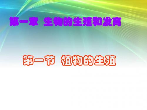《植物的生殖PPT课件》