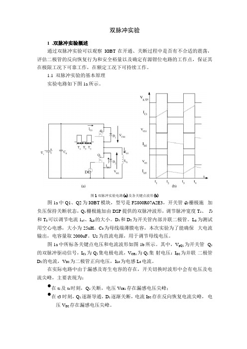 双脉冲试验报告