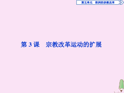 2019_2020学年高中历史第五单元欧洲的宗教改革第3课宗教改革运动的扩展课件新人教版选修1