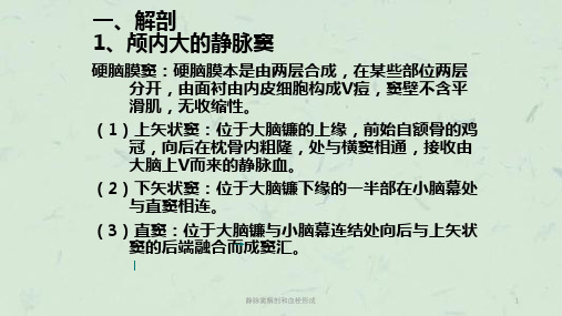 静脉窦解剖和血栓形成课件