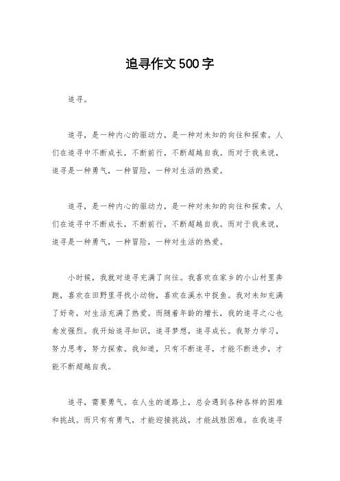 追寻作文500字