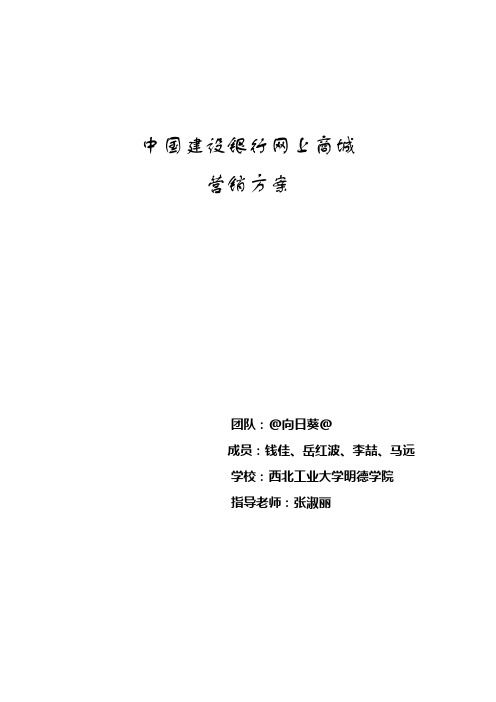 中国建设银行网上商城营销方案 精品