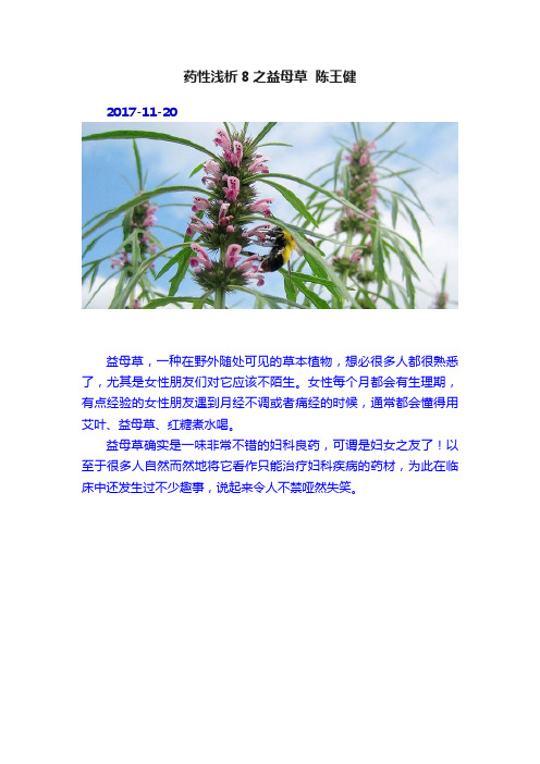 药性浅析8之益母草??陈王健