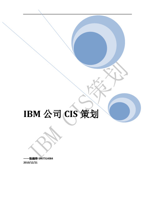 IBM公司CIS策划