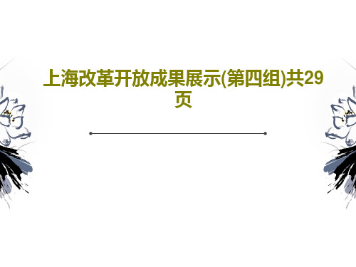 上海改革开放成果展示(第四组)共29页PPT文档31页