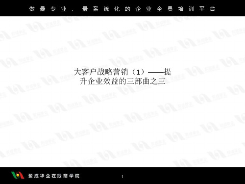 大客户战略营销(1)——提升企业效益的三部曲之三