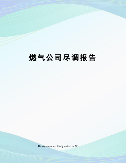 燃气公司尽调报告