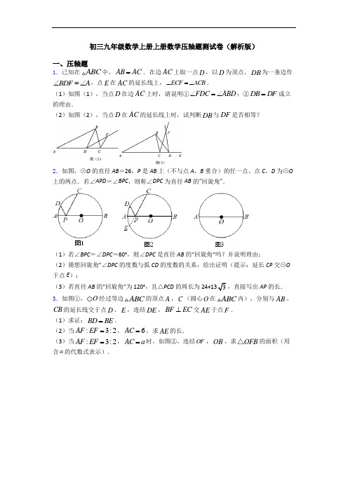 初三九年级数学上册上册数学压轴题测试卷(解析版)