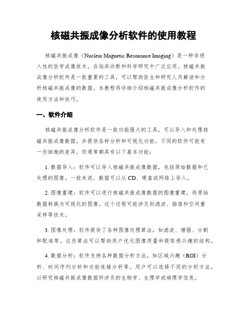 核磁共振成像分析软件的使用教程