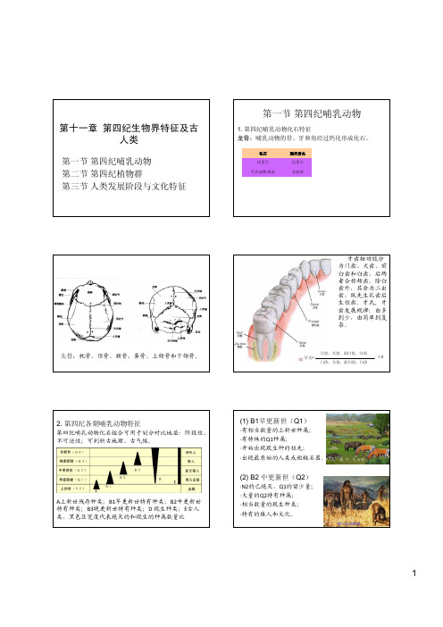 第十一章 第四纪生物界