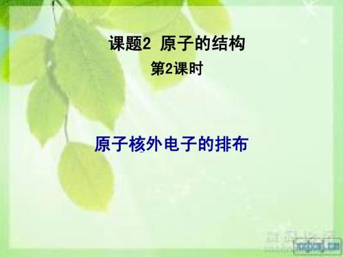 课题二第二课时核外电子排布