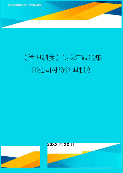 黑龙江辰能集团公司投资管理制度