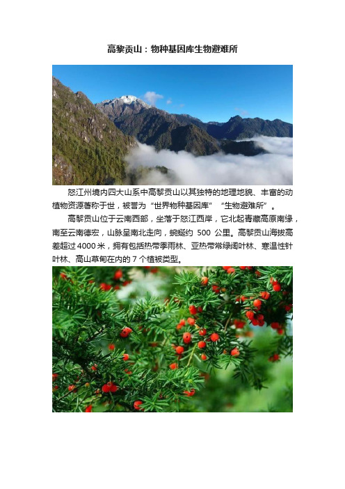 高黎贡山：物种基因库生物避难所