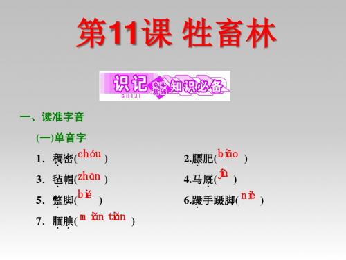 2017_2018学年高中语文第11课牲畜林课件新人教版选修《外国小说欣赏》