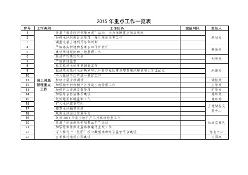 2015年重点工作一览表【模板】