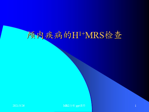 MRS分析 ppt课件