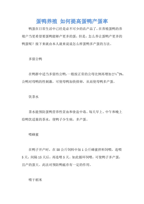 蛋鸭养殖 如何提高蛋鸭产蛋率