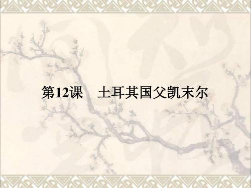 高中历史第三单元资产阶级政治家12土耳其国父凯末尔课件岳麓版选修4