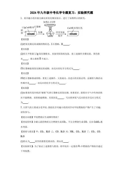 2024年九年级中考化学专题复习：实验探究题