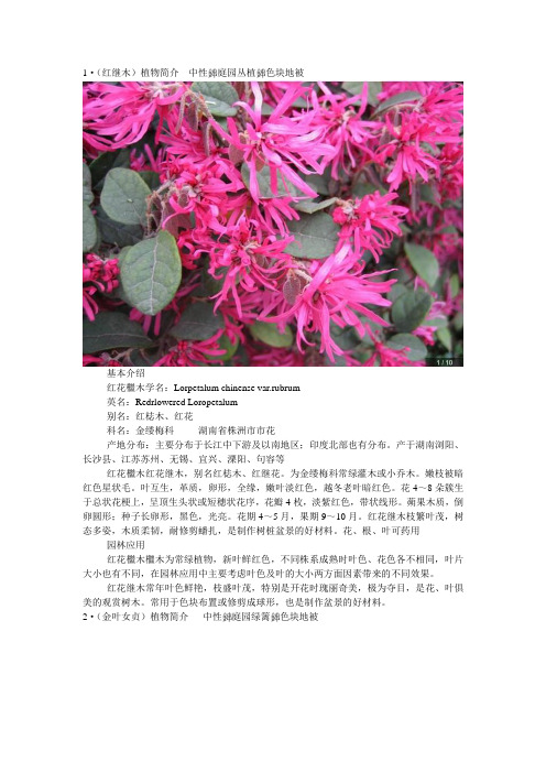 植物分析2