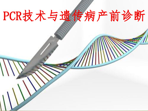 PCR技术与遗传病的产前诊断