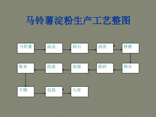 马铃薯工艺流程图