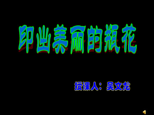 美术岭南版五年级上册《6. 印出美丽的瓶花》课件公开课