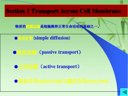 第五章物质的跨膜运输(共70张PPT)