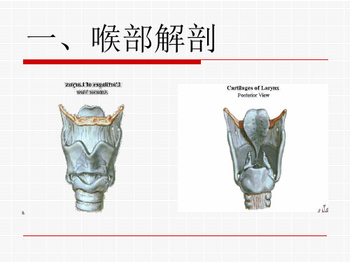 实用气管插管术