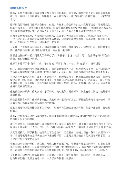 同学小传范文800字