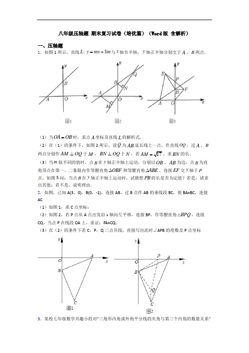 八年级压轴题 期末复习试卷(培优篇)(Word版 含解析)