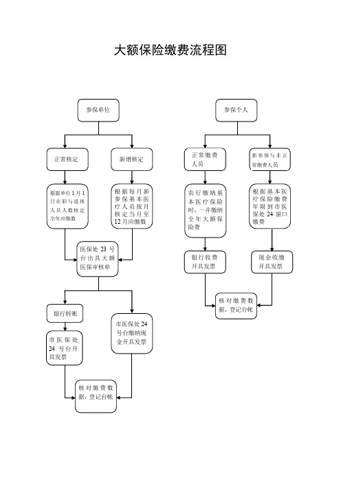 大额保险缴费流程图