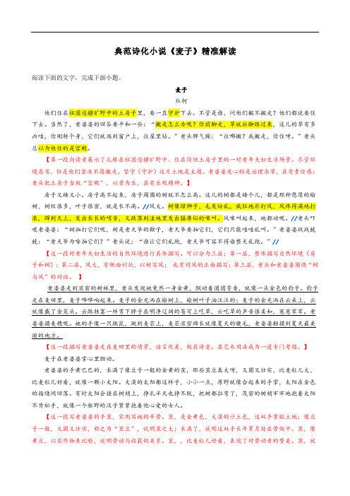 专题05典范诗化小说《麦子》精准解读-2022高考语文小说阅读热点题材详解与特训