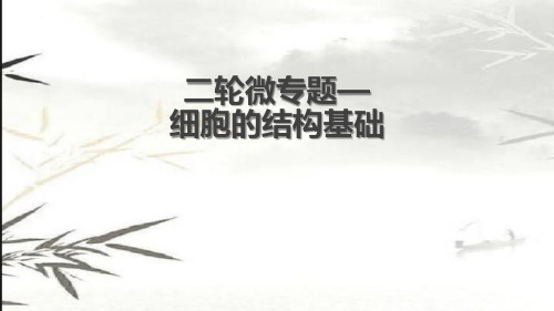 热点微专题04 细胞的结构基础-2023年高考生物二轮复习(人教版2019)