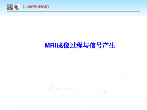 【小动物影像技术课件】MRI成像过程与信号产生