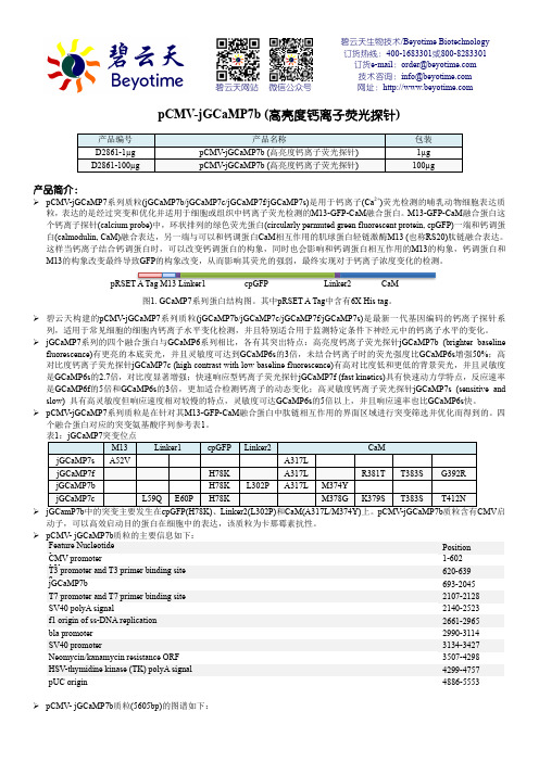 碧云天生物技术pCMV-jGCaMP7b高亮度钙离子荧光探针说明书