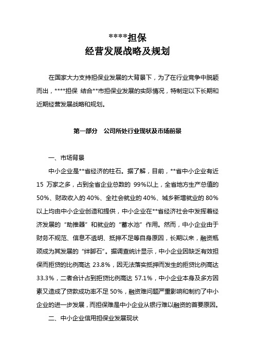 担保公司经营发展战略及规划(修改稿)