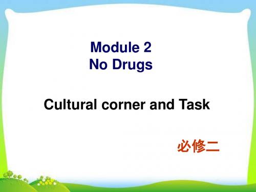 外研版高中英语必修二 Module 2 Cultural corner and Task教学课件