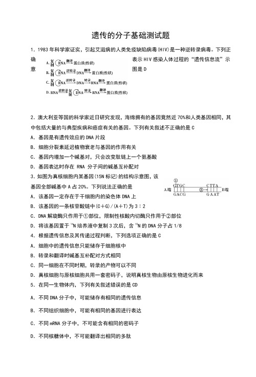 遗传的分子基础测试题