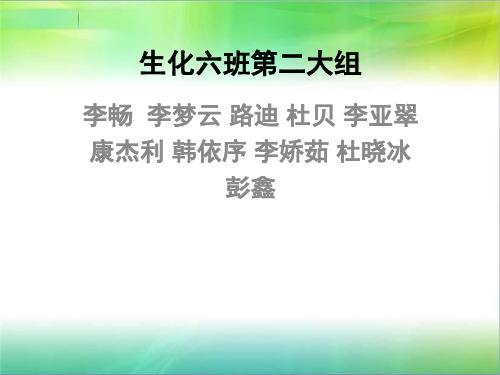 对乙酰氨基酚的合成路线1六班第二大组