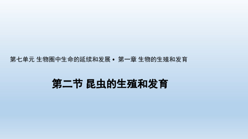 人教版八年级下册生物第七单元第一章第二节昆虫的生殖和发育 课件共27张PPT