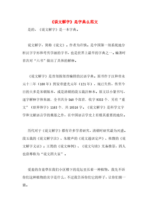 《说文解字》是字典么范文