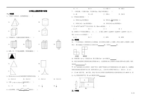 2022-2023学年北师大版七年级数学上册期中测试题含答案